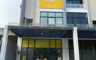 Puppet Pet Care: Pet Shop Paling Lengkap di Jakarta Timur Puppet Pet Care Pet Shop Terlengkap di jakarta timur