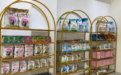Pet Grooming Paling Bersih dan Wangi di Jakarta Timur: Puppet Pet Care Jawabannya! Pet Grooming Jakarta Timur: Bersih & Wangi hanya di Puppet Pet Care