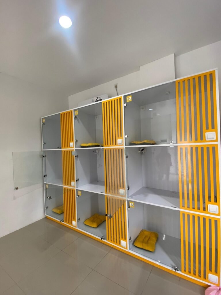 Pet Hotel Paling Nyaman dan Aman di Jakarta Timur: Percayakan Anabul Anda pada Puppet Pet Care!