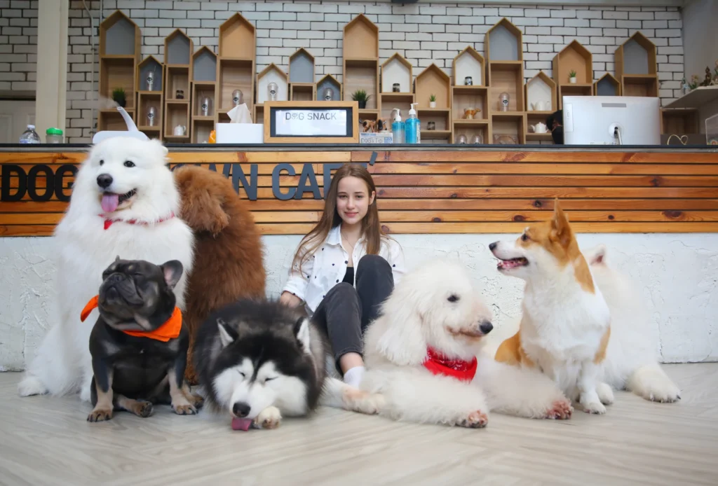 Pet Hotel: Solusi Aman & Nyaman Penitipan Hewan Peliharaan Anda