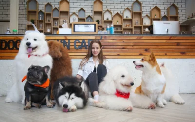 anjing bahagia di pet hotel bersama pemilik