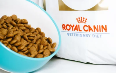 Produk Royal Canin: Nutrisi Hewan Peliharaan Sesuai Kebutuhan Royal Canin Dog Food