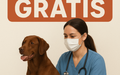 Vaksin Rabies Gratis Bengkulu oleh PDHI di Mukomuko Vaksinasi rabies gratis