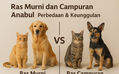 Ras Murni dan Campuran Anabul: Perbedaan & Keunggulan Ras murni dan Ras Campuran anabul