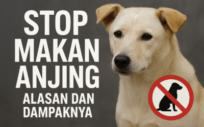 Stop Makan Anjing: Mengapa Kita Harus Menghentikan Konsumsi Daging Anjing stop makan anjing