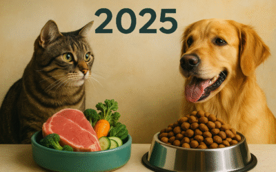 makanan Raw Food vs Dry Food