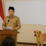 larangan jual daging anjing